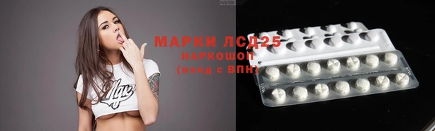 ECSTASY Козельск