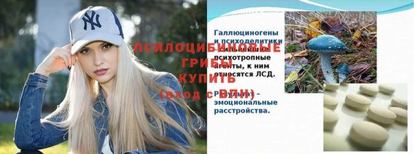 2c-b Кодинск