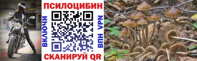 Купить  Лениногорск  Псилоцибиновые грибы Magic Shrooms 